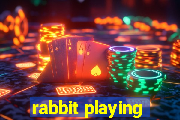 rabbit playing