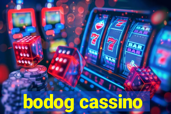 bodog cassino