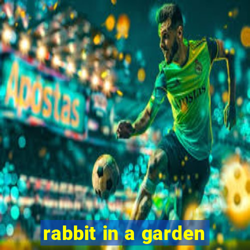 rabbit in a garden