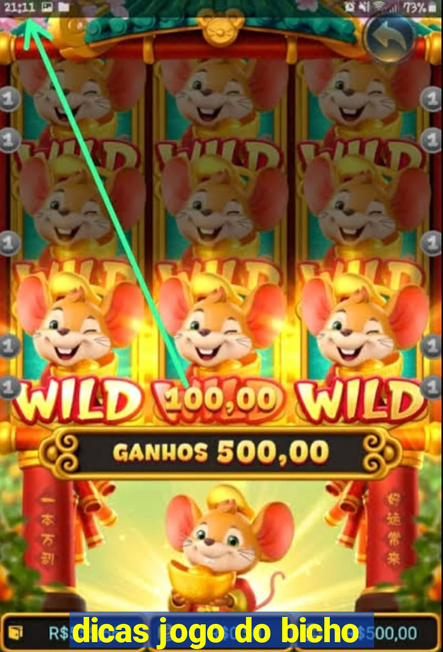 dicas jogo do bicho